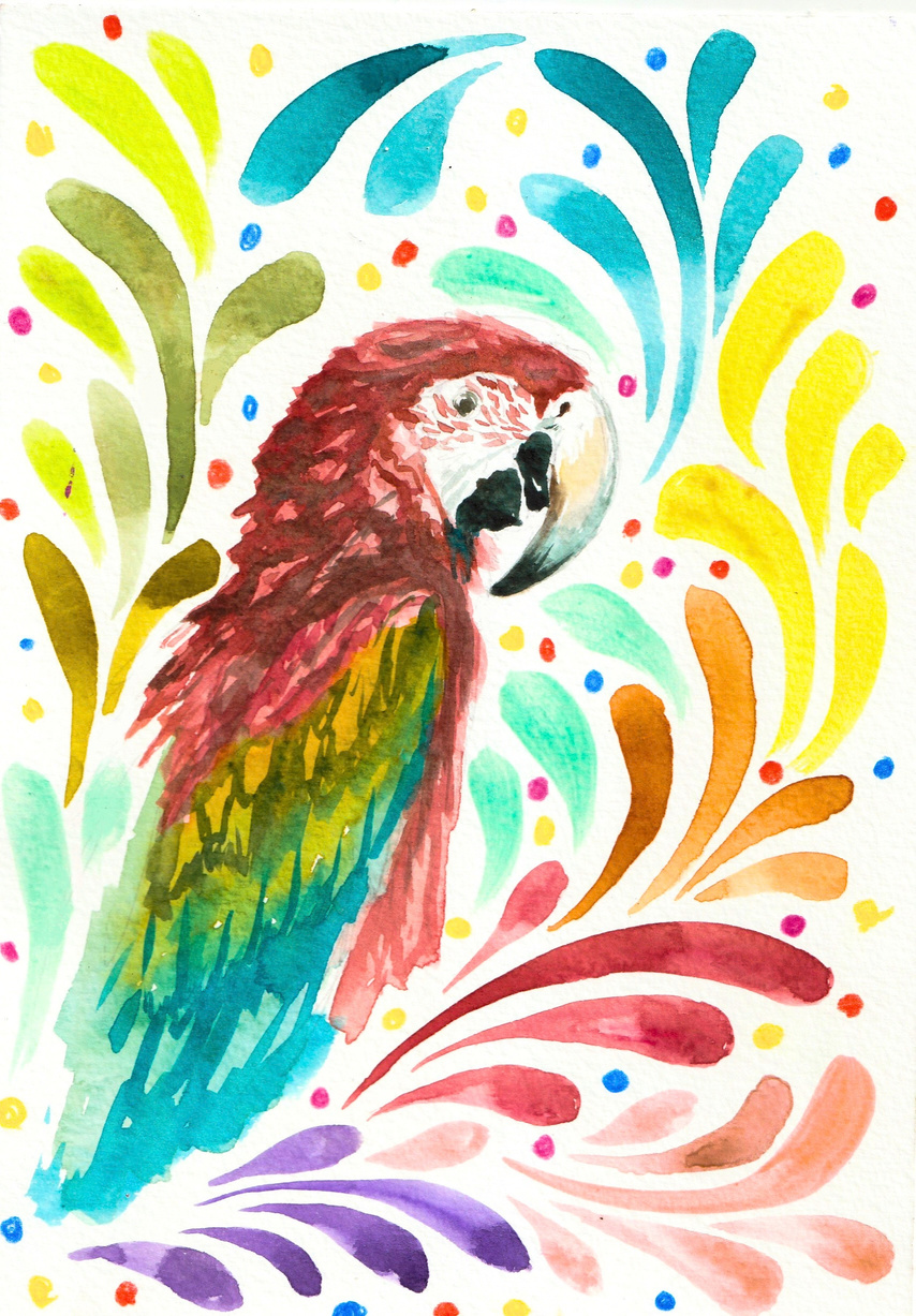 Watercolour macaw parrot illustration